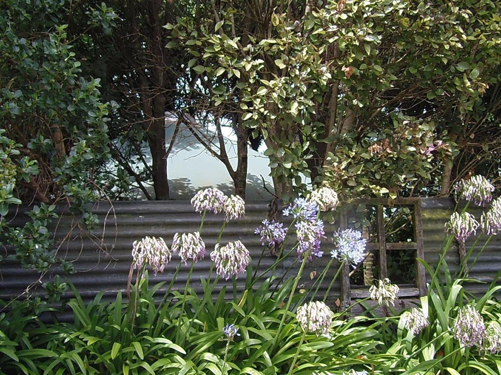 Hotel Nikau Sanctuary Raglan Exterior foto